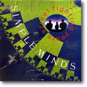 Street Fighting Years