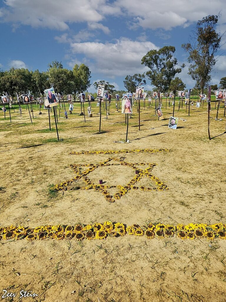 Doctor Music Festival