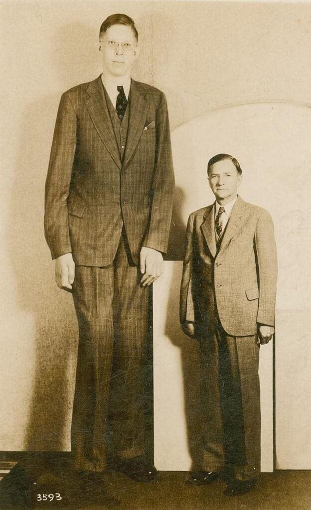 De Gigant