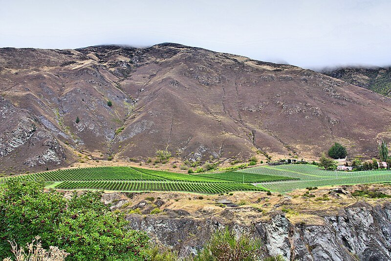 Gibbston Valley Winery