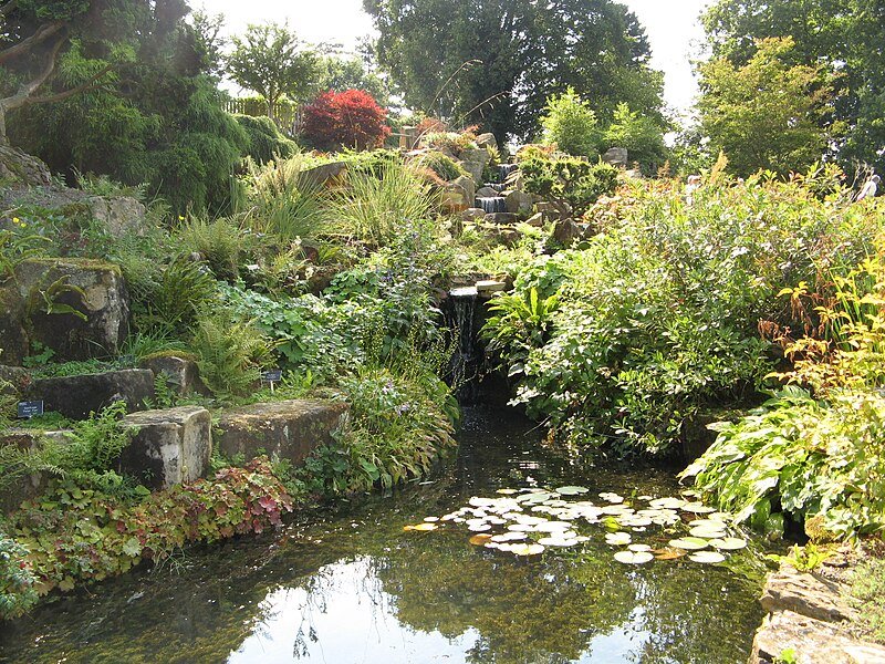 Rock Garden